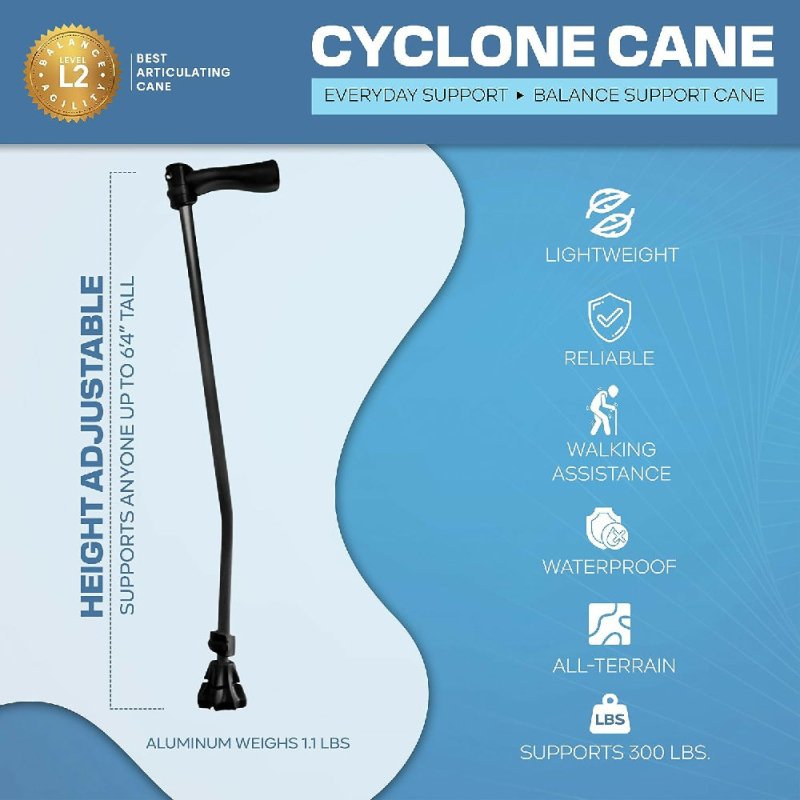 Cyclone Cane - Cane - British D'sire