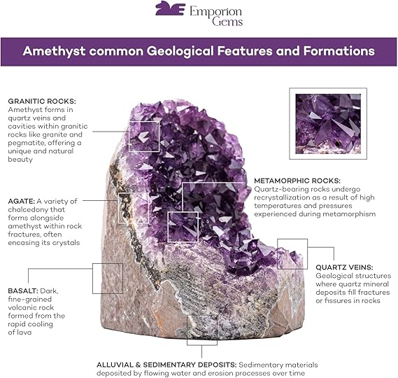 EMPORION X - Large Natural Amethyst (0.9 kg to 1.4 kg) Crystal Clusters Stone from Uruguay Raw Geode Quartz - Deep Purple Color - Natural Amethyst Crystal - British D'sire