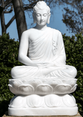 Factory White Marble Gandhara Style Buddha Statue Meditating on Lotus Perfect for the Garden - Decor Sculpture - British D'sire