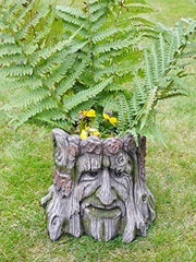 Get Goods Novelty Tree Stump Garden Planter Wood Carved Face Effect Patio Yard Ornament Decorative Flower Pot - Home Decor - British D'sire