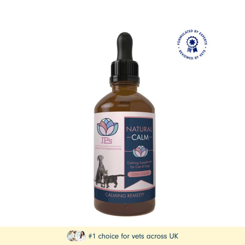 Liquid Calming Supplement for Cats and Dogs - Calming - British D'sire