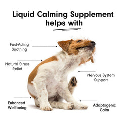 Liquid Calming Supplement for Cats and Dogs - Calming - British D'sire