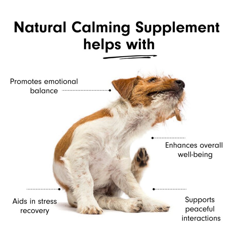 Natural Calming Supplement for Cats & Dogs - Calming - British D'sire