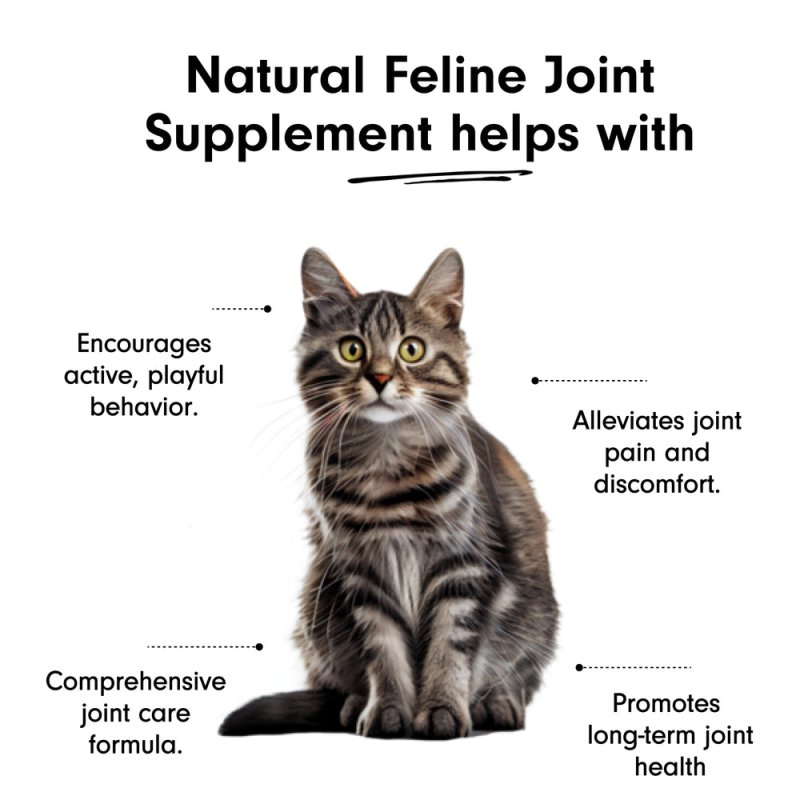 Natural Feline Joint with Green Lipped Mussel - Joint Care - British D'sire