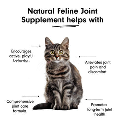 Natural Feline Joint with Green Lipped Mussel - Joint Care - British D'sire