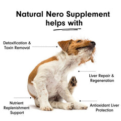 Natural Liver Supplement with Milk Thistle for Dogs & Cats - Bodily Function - British D'sire