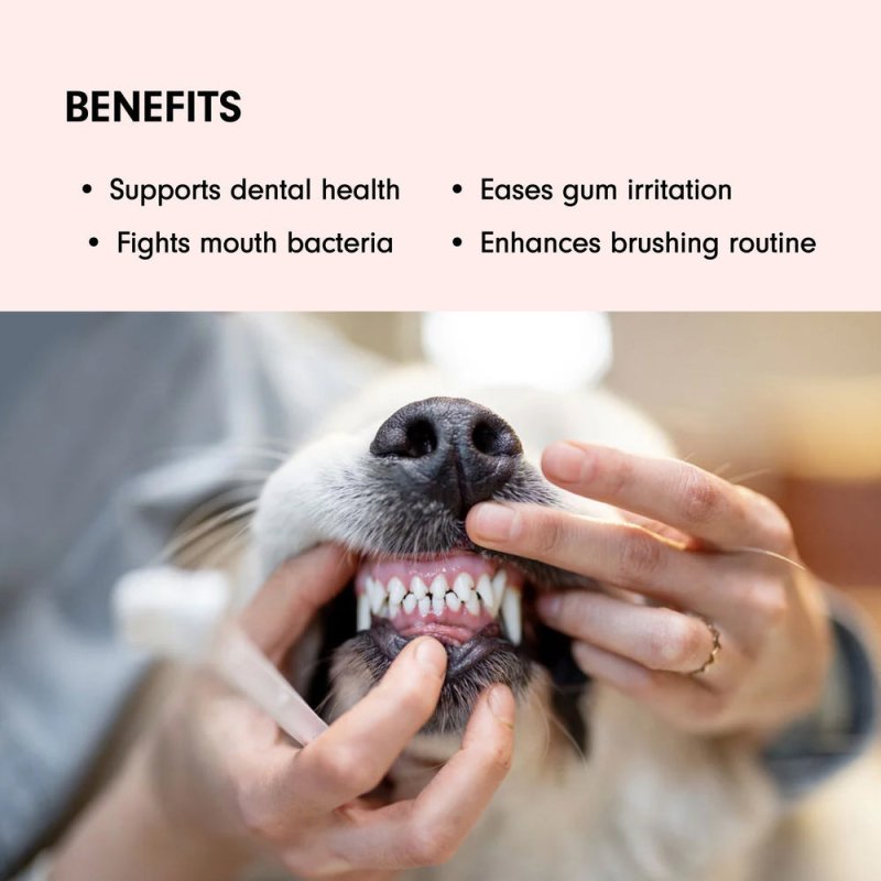 Natural Toothpaste for Dogs & Cats - Dental Care - British D'sire