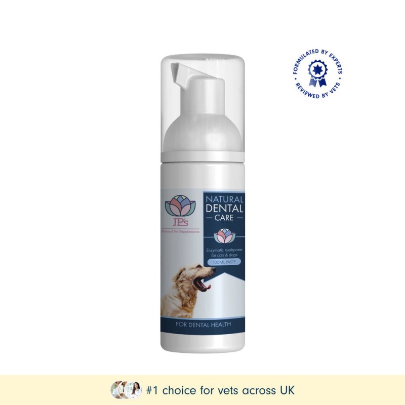 Natural Toothpaste for Dogs & Cats - Dental Care - British D'sire