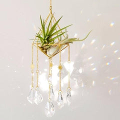 "Salute to the Sun" Crystal Airplant Suncatcher - Suncatchers - British D'sire