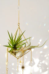 "Salute to the Sun" Crystal Airplant Suncatcher - Suncatchers - British D'sire