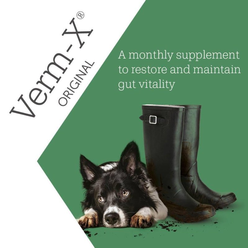 Verm - X 100% Natural Active Ingredients Digestive Liquid for Dogs - Digestive Care - British D'sire