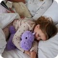 Warmies® Plush Purple Baby Dinosaur Microwavable - Soft Toy - British D'sire