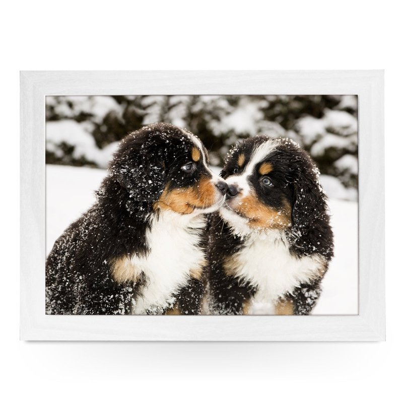 Bernese Mountain Puppies in the Snow Lap Tray - Kitchen Tools & Gadgets - British D'sire