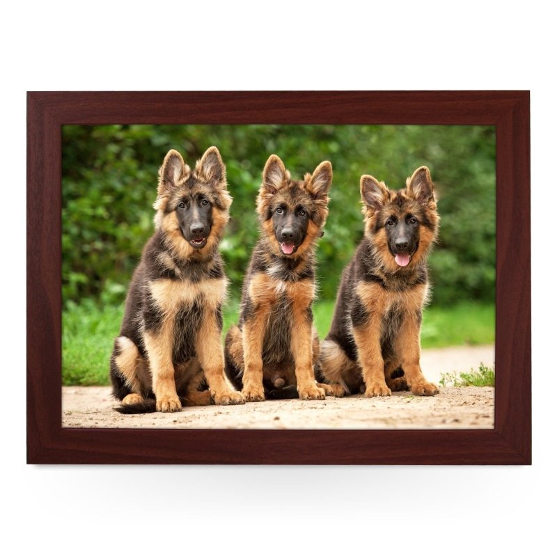 German Shepherd Puppies Lap Tray - L0580 - Kitchen Tools & Gadgets - British D'sire