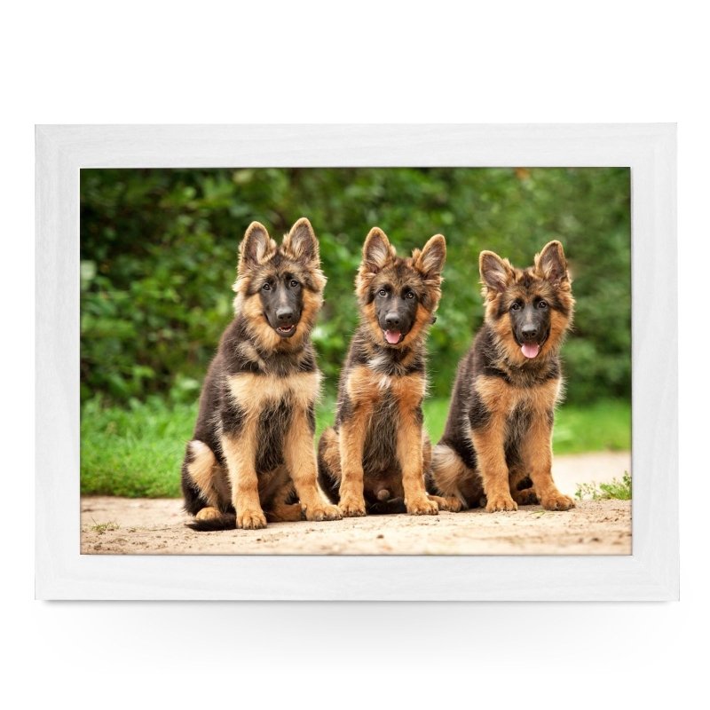 German Shepherd Puppies Lap Tray - L0580 - Kitchen Tools & Gadgets - British D'sire