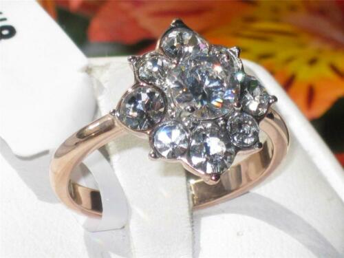 Jewellery Kingdom Ladies Cz Steel Cluster Dress Ring (Rose Gold) - Jewelry Rings - British D'sire