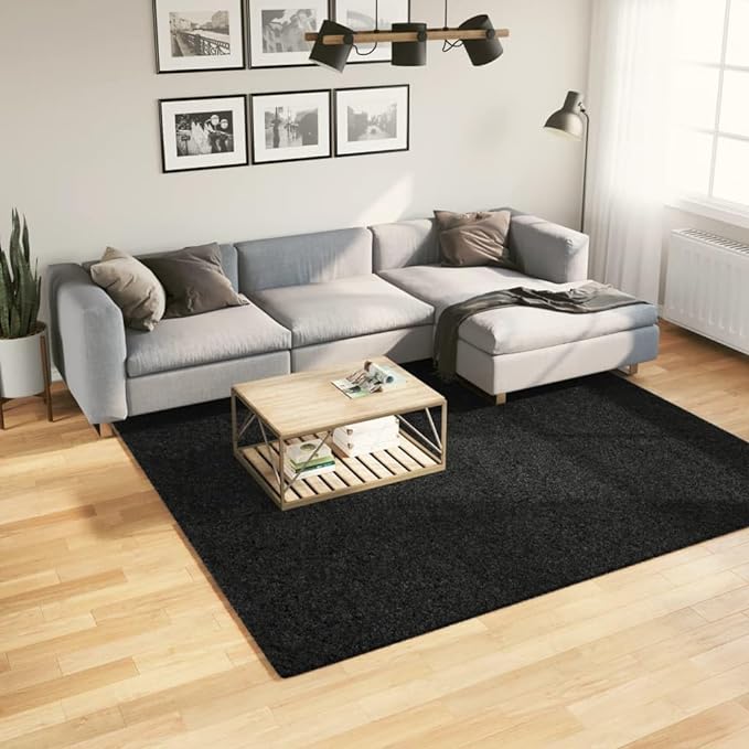 vidaXL Shaggy Rug-240x240cm, Modern Black Square Floor Carpet, Soft High Pile Polypropylene Mat, OEKO-TEX Safe, Suitable for Living Room/Bedroom - British D'sire