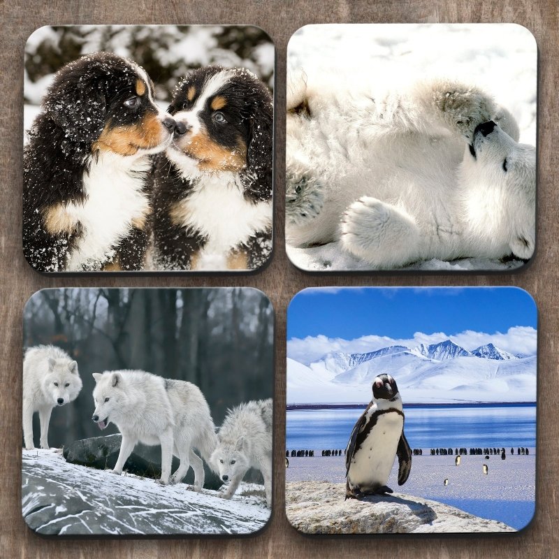 Yoosh Animals in the Snow x 4 Coasters - Kitchen Tools & Gadgets - British D'sire