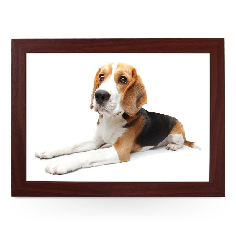 Yoosh Beagle Dog Lap Tray - Kitchen Tools & Gadgets - British D'sire