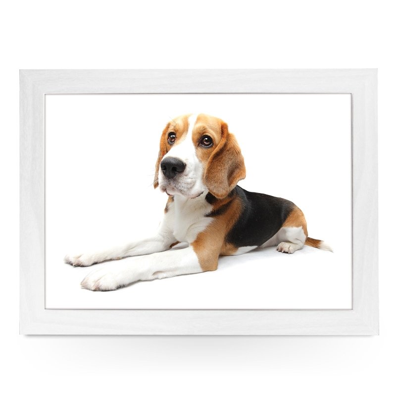 Yoosh Beagle Dog Lap Tray - Kitchen Tools & Gadgets - British D'sire