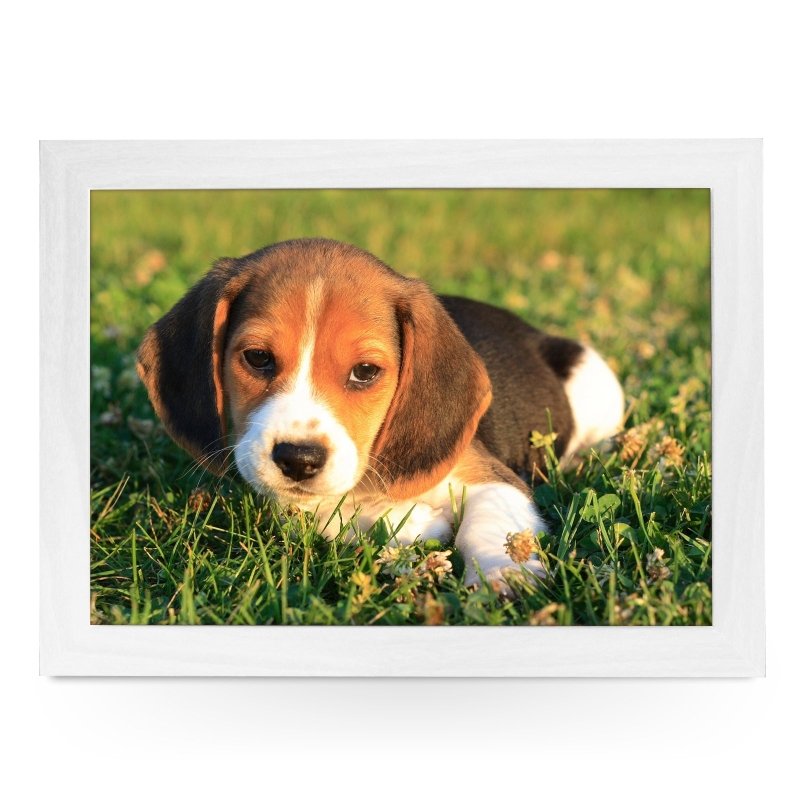 Yoosh Beagle Puppy Lap Tray - Kitchen Tools & Gadgets - British D'sire