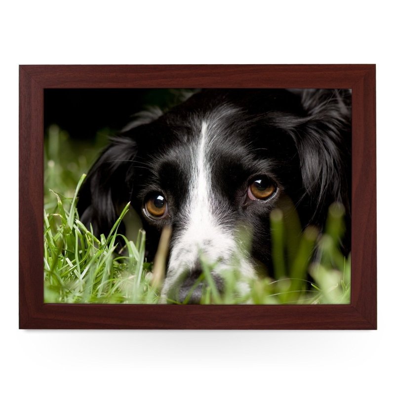 Yoosh Black Cocker Spaniel Dog Lap Tray - Kitchen Tools & Gadgets - British D'sire