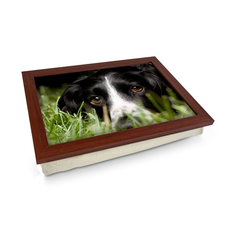 Yoosh Black Cocker Spaniel Dog Lap Tray - Kitchen Tools & Gadgets - British D'sire