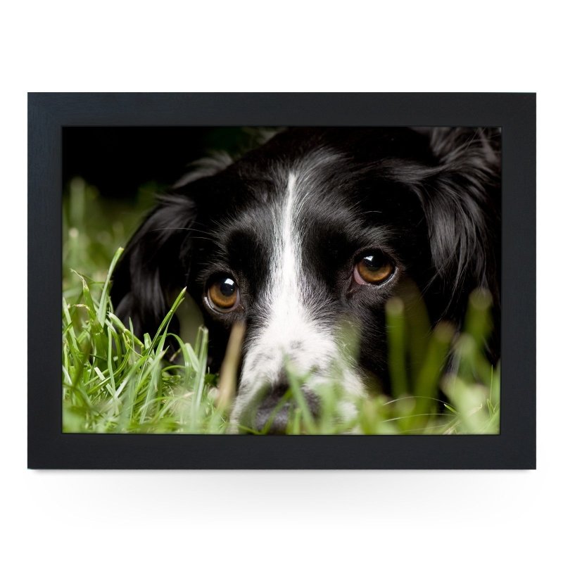 Yoosh Black Cocker Spaniel Dog Lap Tray - Kitchen Tools & Gadgets - British D'sire