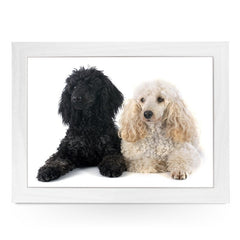 Yoosh Black & White Poodle Dogs Lap Tray - Kitchen Tools & Gadgets - British D'sire