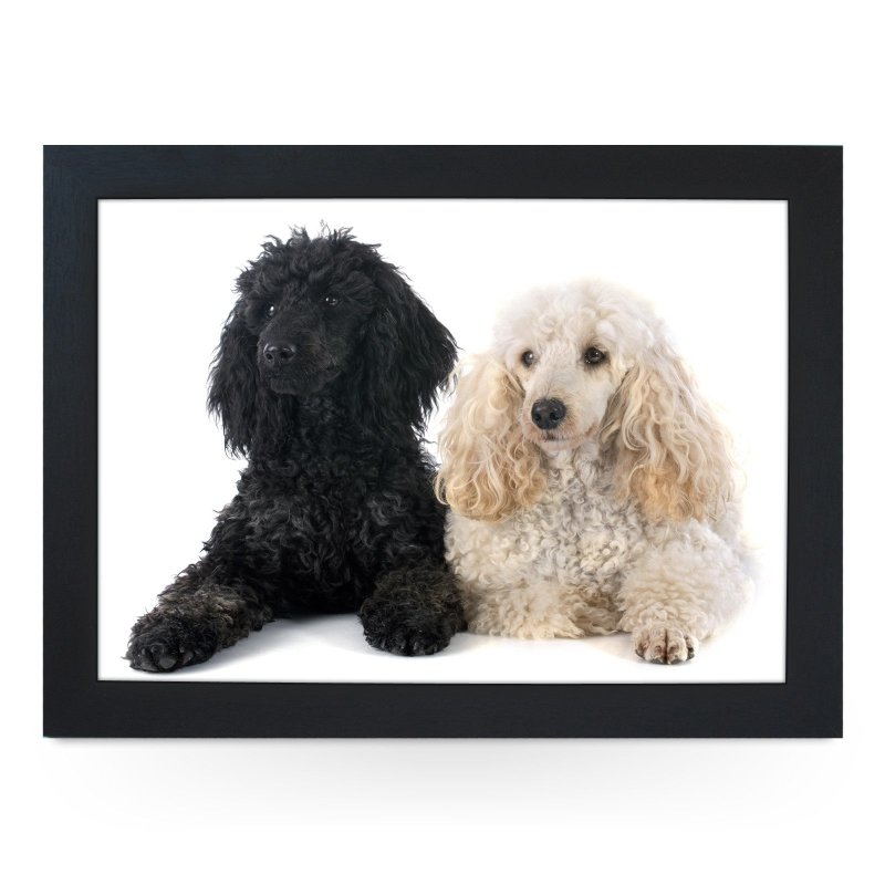 Yoosh Black & White Poodle Dogs Lap Tray - Kitchen Tools & Gadgets - British D'sire