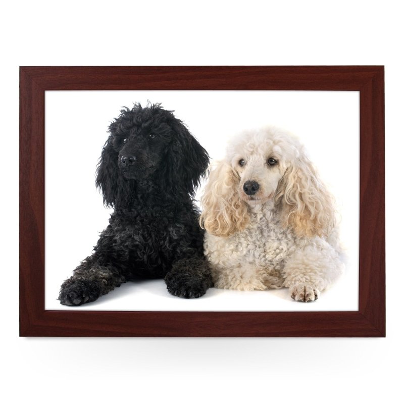 Yoosh Black & White Poodle Dogs Lap Tray - Kitchen Tools & Gadgets - British D'sire