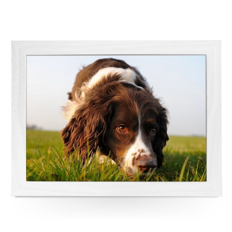 Yoosh Brown Cocker Spaniel Dog Lap Tray - Kitchen Tools & Gadgets - British D'sire