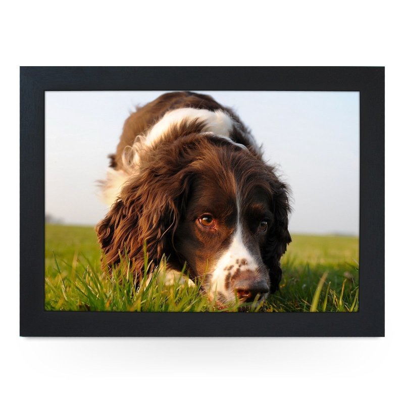 Yoosh Brown Cocker Spaniel Dog Lap Tray - Kitchen Tools & Gadgets - British D'sire