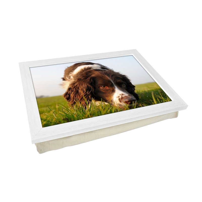 Yoosh Brown Cocker Spaniel Dog Lap Tray - Kitchen Tools & Gadgets - British D'sire