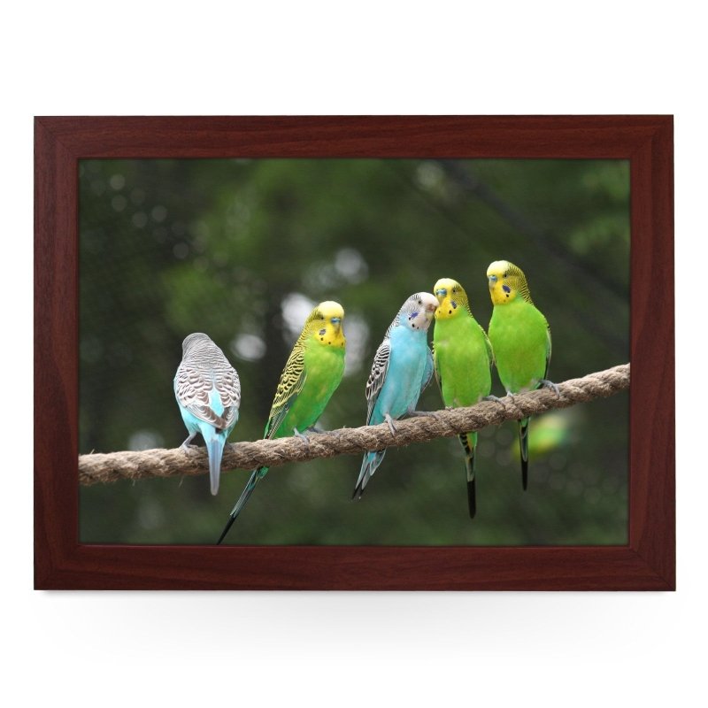 Yoosh Budgies on a Rope Lap Tray - Kitchen Tools & Gadgets - British D'sire