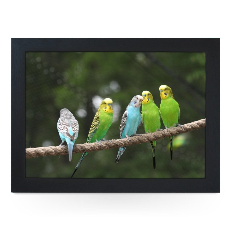 Yoosh Budgies on a Rope Lap Tray - Kitchen Tools & Gadgets - British D'sire