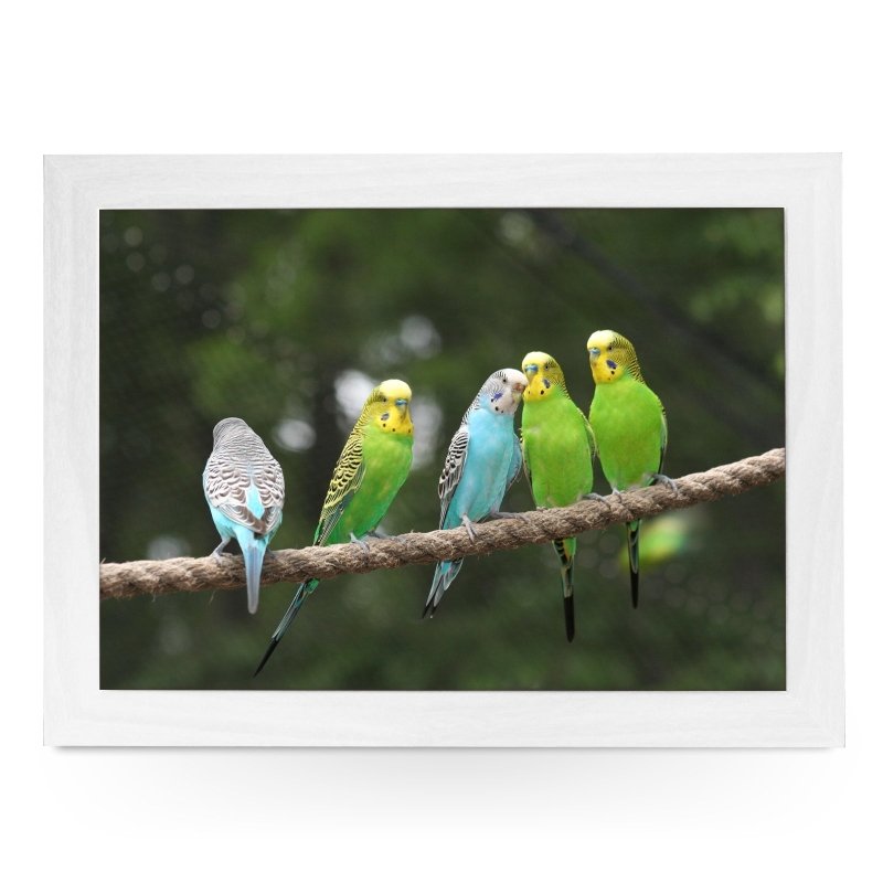 Yoosh Budgies on a Rope Lap Tray - Kitchen Tools & Gadgets - British D'sire