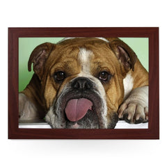 Yoosh Bulldog Sticking Tongue Out Lap Tray - Kitchen Tools & Gadgets - British D'sire