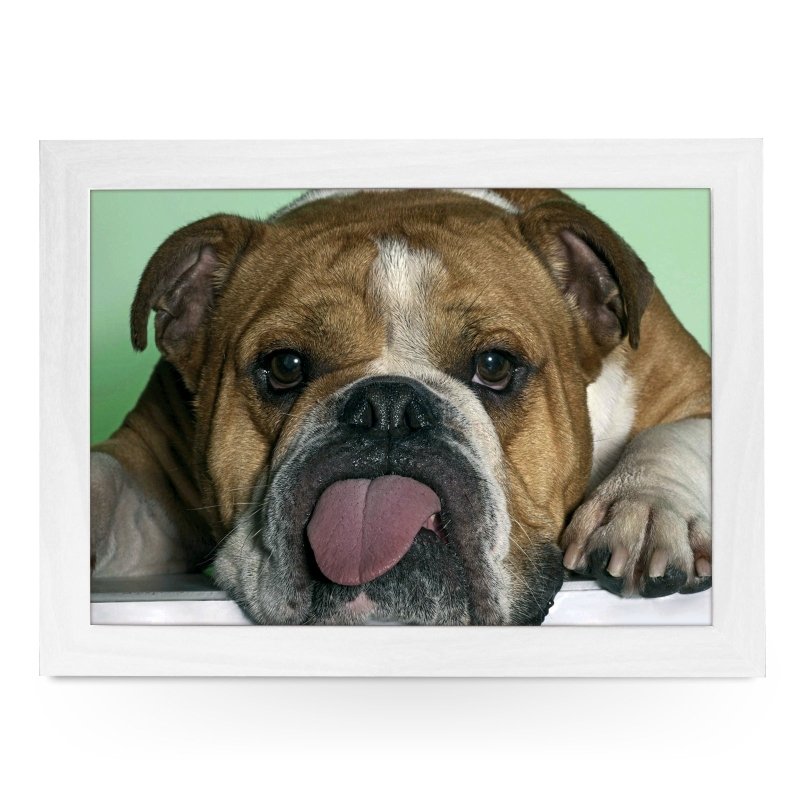 Yoosh Bulldog Sticking Tongue Out Lap Tray - Kitchen Tools & Gadgets - British D'sire