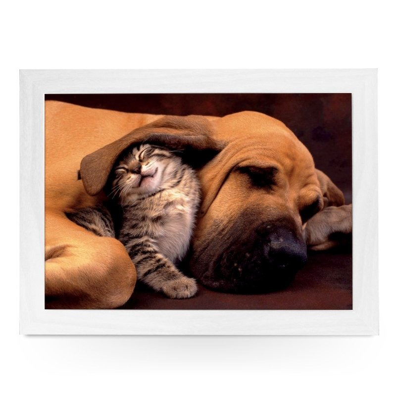 Yoosh Cat & Sleeping Great Dane Dog Lap Tray - L0401 - Kitchen Tools & Gadgets - British D'sire