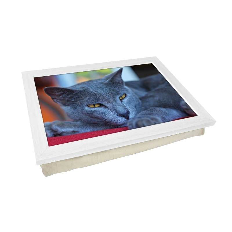 Yoosh Chartreux Cat Lap Tray - Kitchen Tools & Gadgets - British D'sire