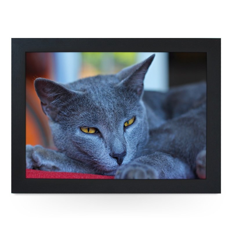 Yoosh Chartreux Cat Lap Tray - Kitchen Tools & Gadgets - British D'sire