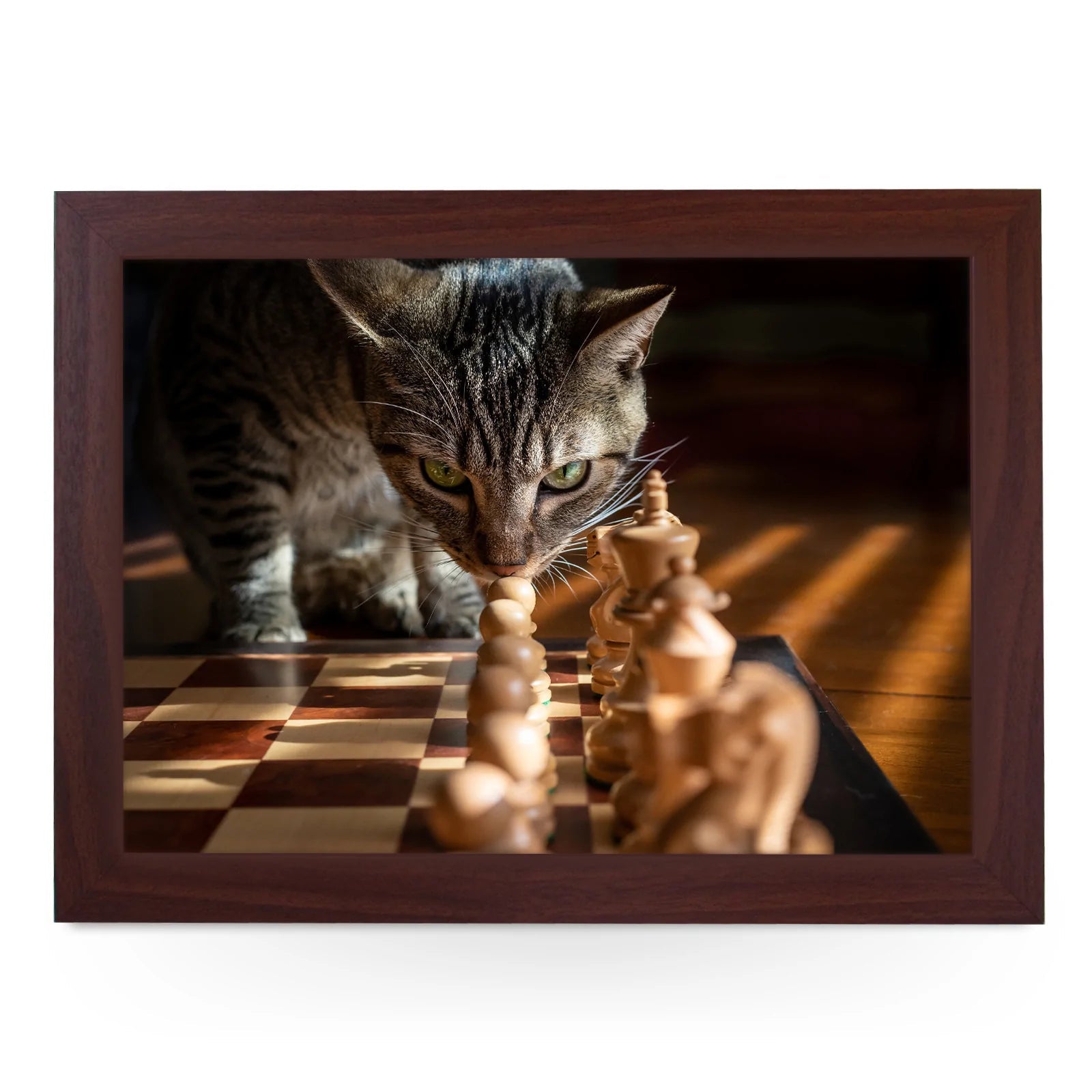 Yoosh Chess Cat Lap Tray - Kitchen Tools & Gadgets - British D'sire