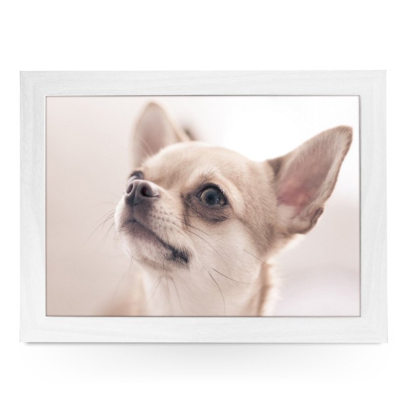 Yoosh Chihuahua Dog Lap Tray - L0588 - Kitchen Tools & Gadgets - British D'sire