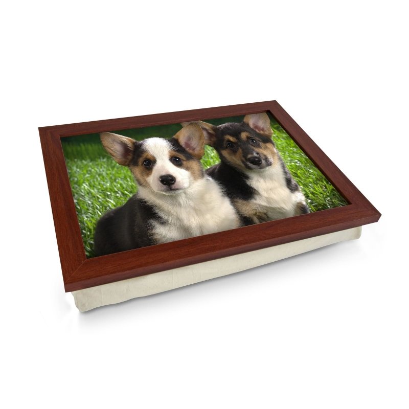 Yoosh Corgi Puppies Lap Tray - L0024 - Kitchen Tools & Gadgets - British D'sire