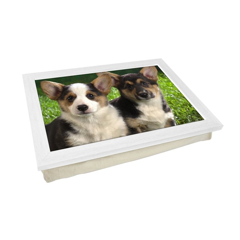 Yoosh Corgi Puppies Lap Tray - L0024 - Kitchen Tools & Gadgets - British D'sire