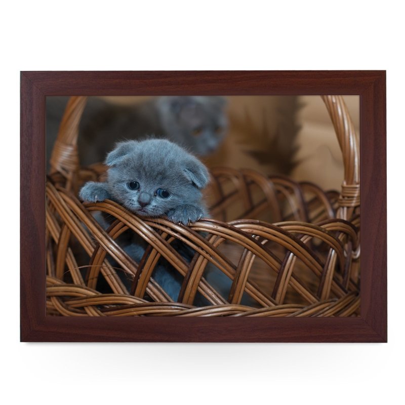 Yoosh Cute Cat in Basket - Kitchen Tools & Gadgets - British D'sire