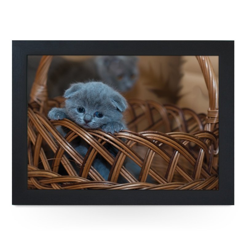 Yoosh Cute Cat in Basket - Kitchen Tools & Gadgets - British D'sire