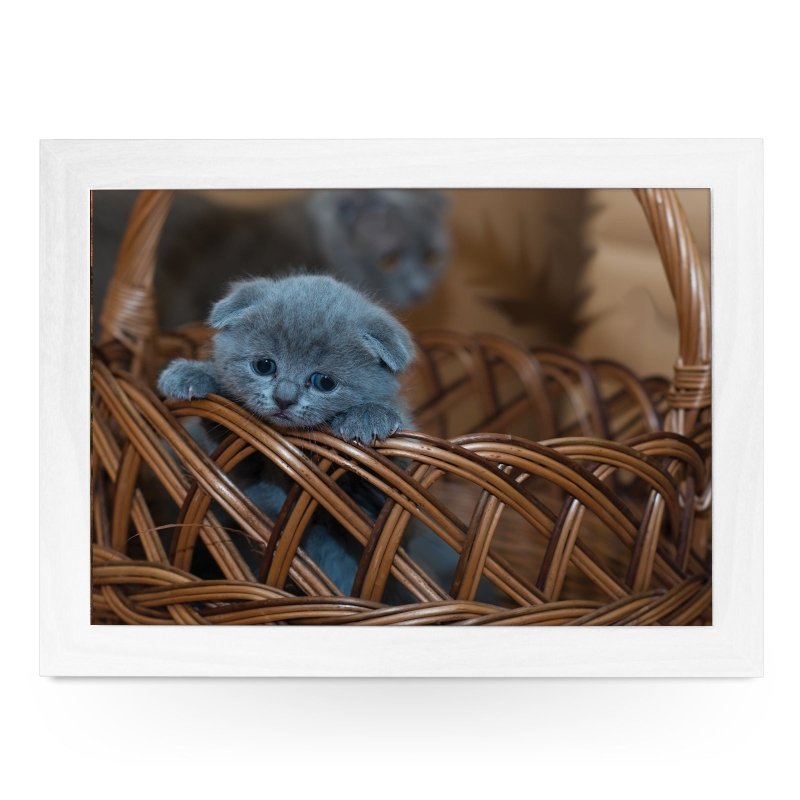 Yoosh Cute Cat in Basket - Kitchen Tools & Gadgets - British D'sire