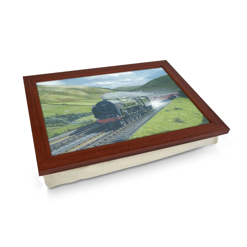 Yoosh Dillicar Water Troughs Britannia Steam Train Lap Tray - Kitchen Tools & Gadgets - British D'sire